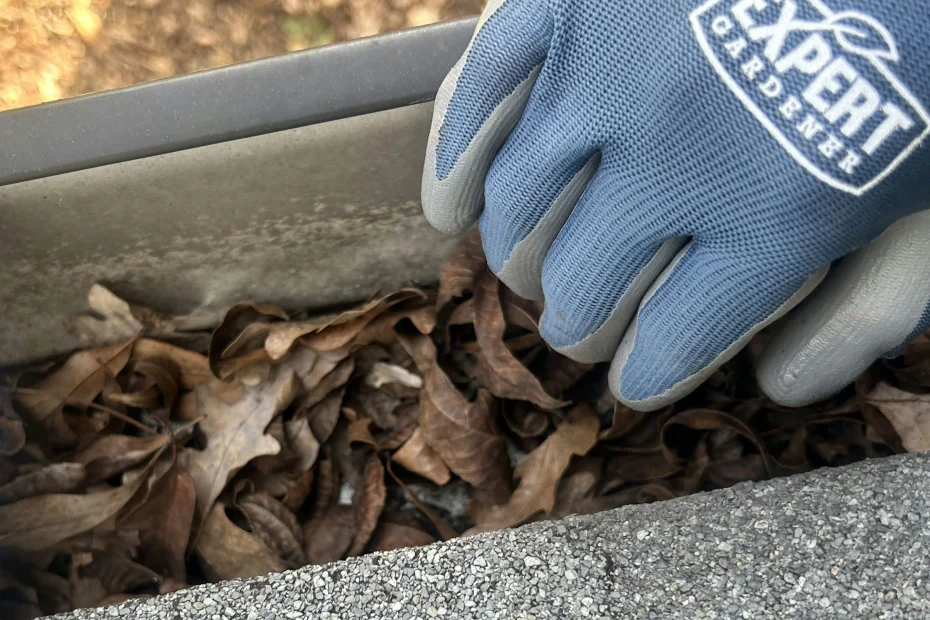 Gutter Cleaning Kannapolis