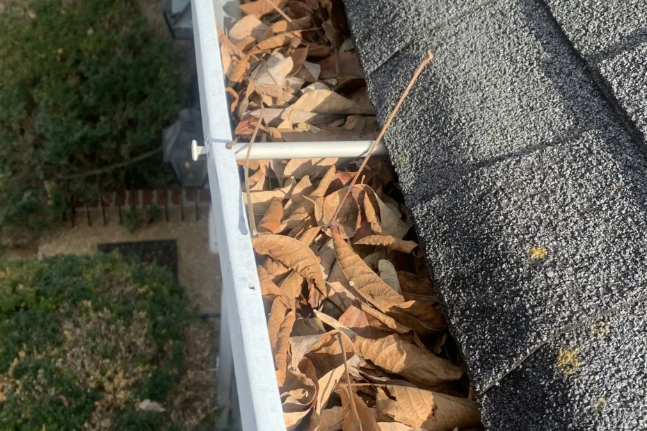 Gutter Cleaning Kannapolis