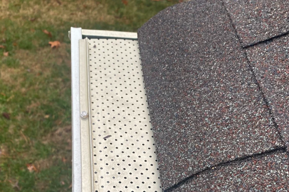 Gutter Cleaning Kannapolis